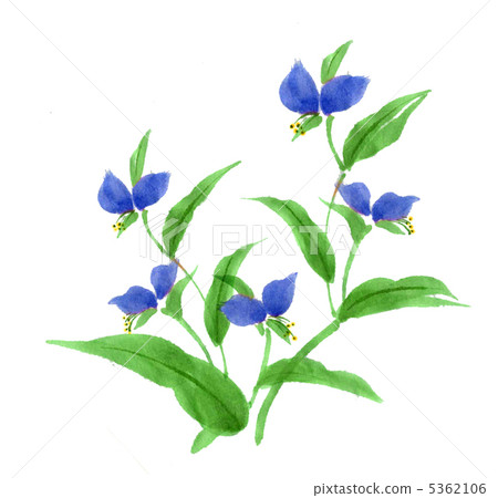 Tsukuru插圖 5362106