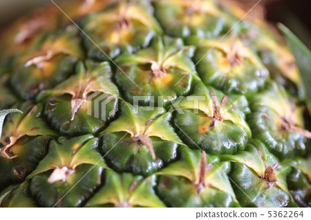 帶皮菠蘿，熱帶水果 5362264