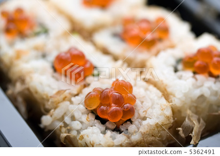 Sushi Sushi 5362491