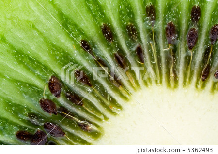 Kiwi Kiwi 5362493