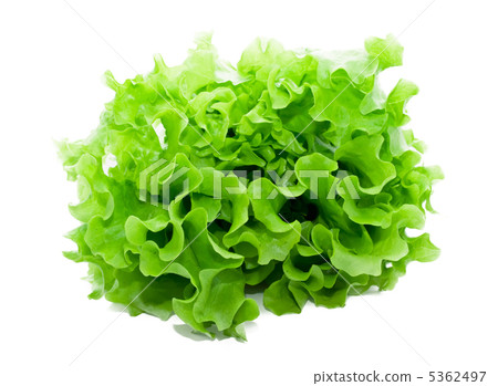 Lettuce Lettuce 5362497