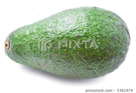 Avocado 5362979