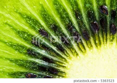 Kiwi 5363523