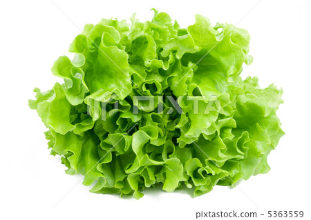 Lettuce 5363559