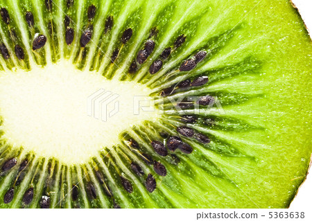 Kiwi 5363638