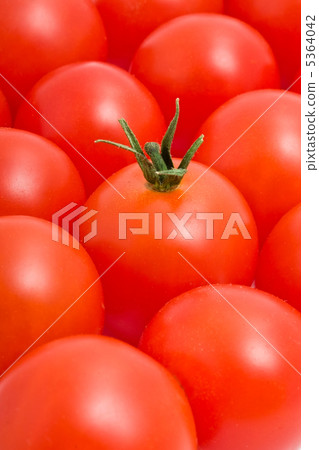 Tomatos Tomatos 5364042