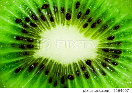 Fresh kiwi Fresh kiwi 5364097