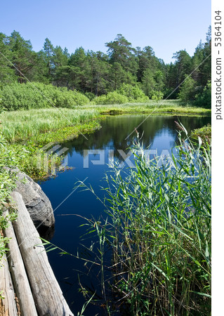 Lake 5364104