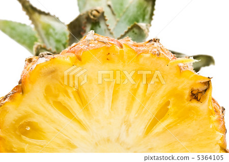 Pineapple Pineapple 5364105