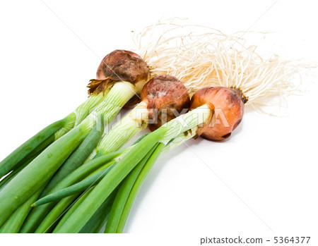 Healthy food Healthy food 5364377