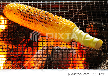 Grilled corn 5364795
