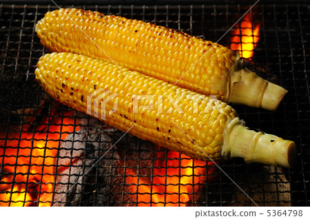Grilled corn 5364798