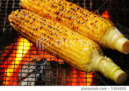 Grilled corn 5364800