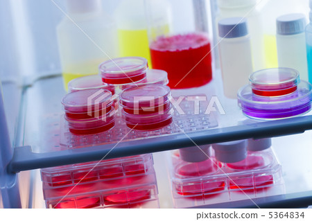 Biological samples 5364834