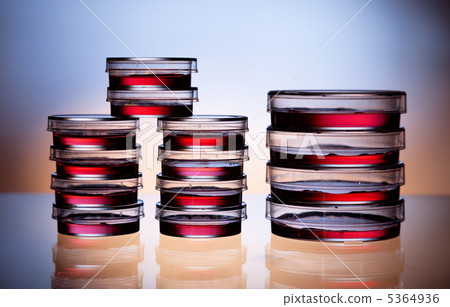 Petri dishes 5364936