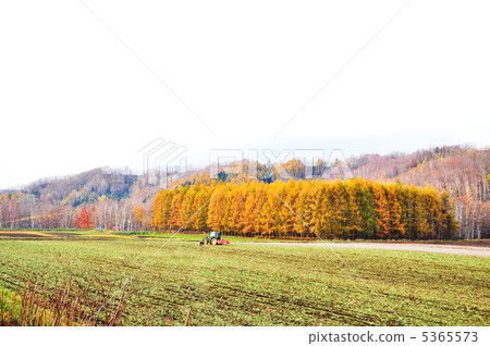 農夫的早晨 5365573