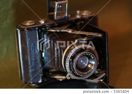 antique accordion camera