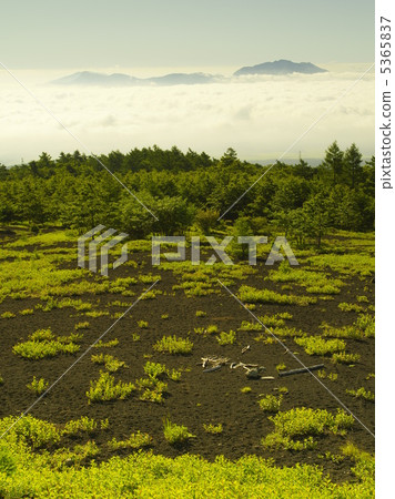 箱根山從富士山下來，漂浮在雲海中 5365837