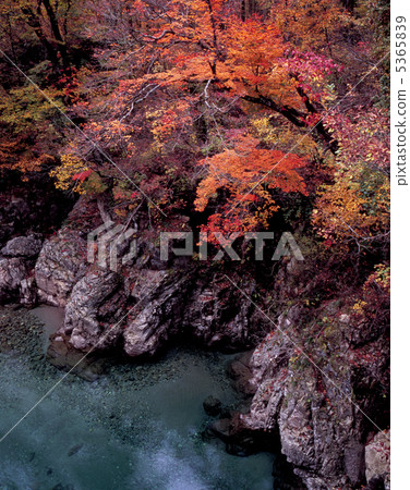 Kusumi和Tenguu區的多摩川谷 5365839