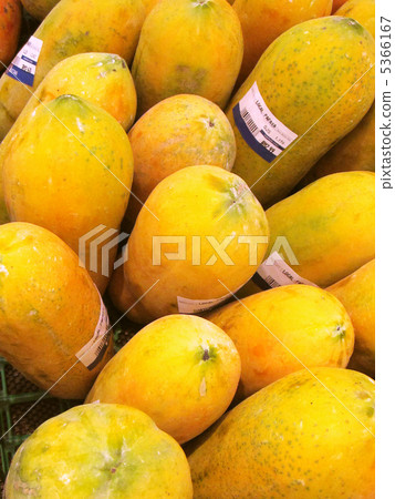 papaya 5366167
