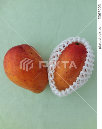 芒果 芒果 5367003