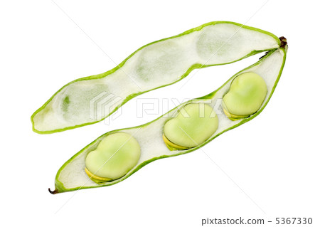 Broad beans 5367330