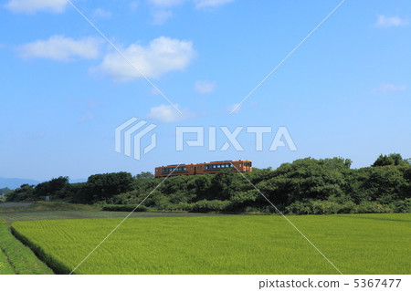 Tsugaru鐵路在夏天 5367477