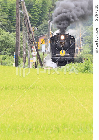 SL Yamaguchi 5367519