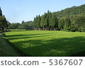 Mountain rice field 5367607