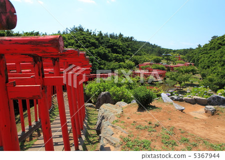 Takaru Takayama Inari shrine torii 5367944