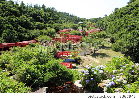 Takaru Takayama Inari shrine torii Takaru Takayama Inari shrine torii 5367945