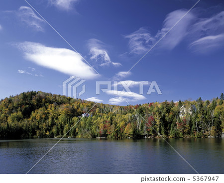 Autumn leaves lake 5367947