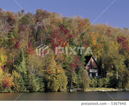 Autumn leaves and lakes and private houses 5367948