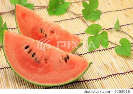 西瓜 5368016