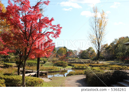 秋葉秋葉在城市公園 秋葉秋葉在城市公園 5368261
