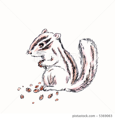 Risu - Stock Illustration [5369063] - PIXTA