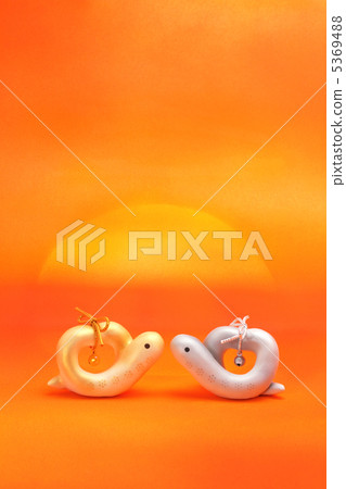 一條心形的情侶蛇面對著今年的日出 5369488