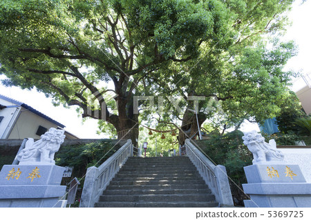 山王神社的被轟炸的肉桂樹 5369725