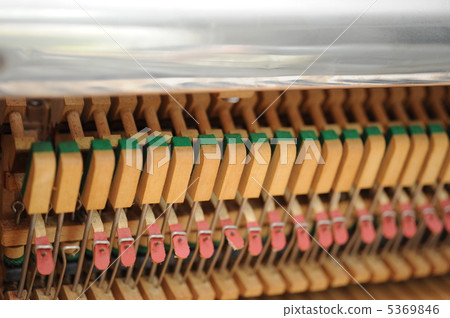 Piano tuning 5369846