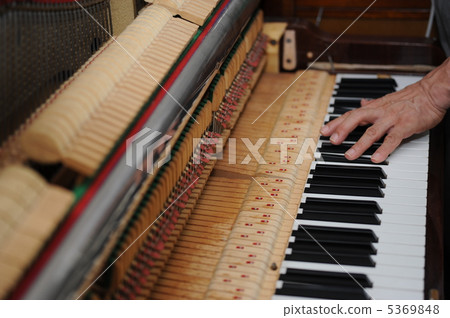 鋼琴調音 5369848
