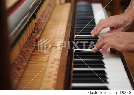 鋼琴調音 5369850