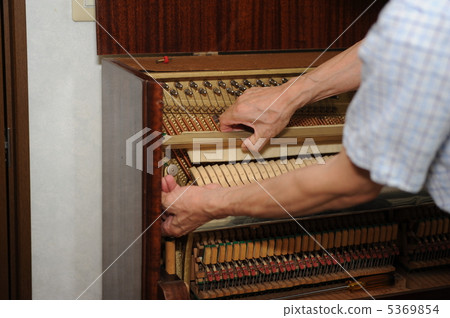 Piano tuning Piano tuning 5369854