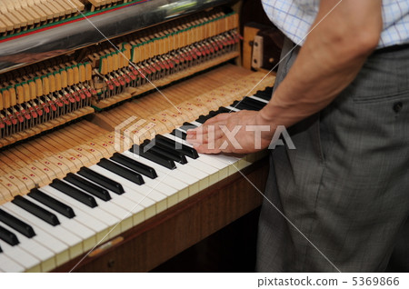 Piano tuning 5369866