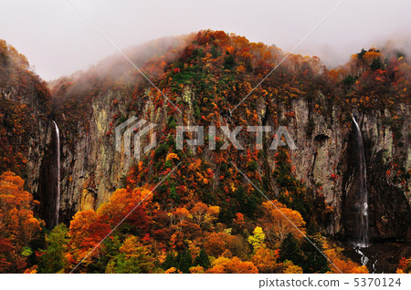 Autumn leaves of the Yonago large waterfall cloth 5370124