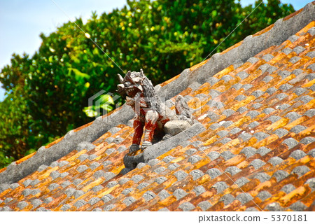 Red roof tiles and Shisa (Taketomi Island / Taketomi Town, Yaeyama District, Okinawa Prefecture) 5370181
