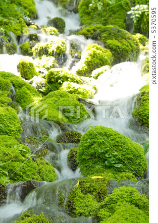 Oze的Shimizu的Ogawa 5370595