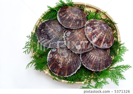 Scallops in a basket 5371326