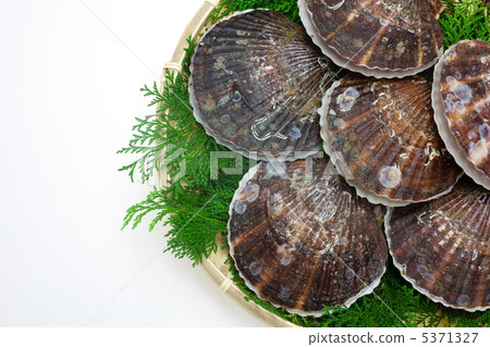 Scallops in a basket 5371327
