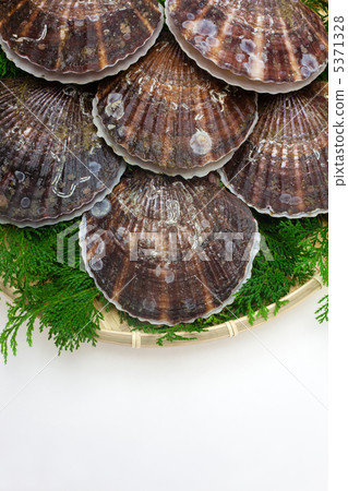 Scallops in a basket 5371328