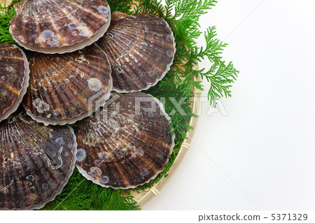 Scallops in a basket 5371329